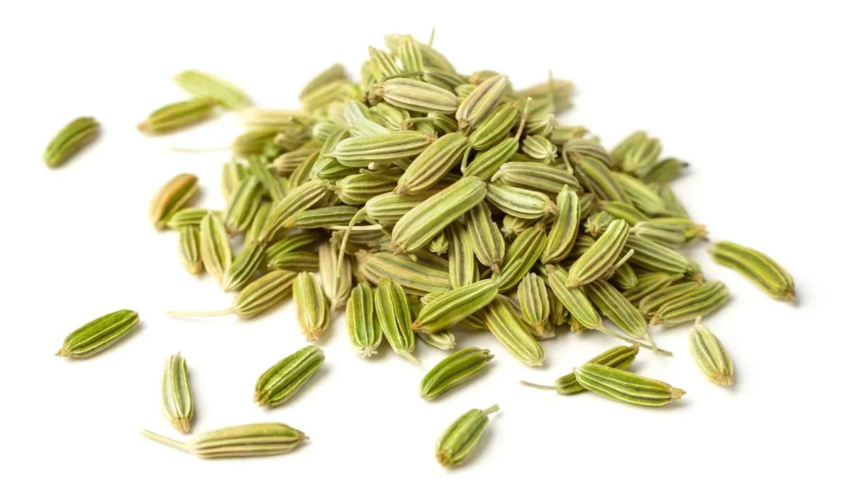 Elongated greenish-yellow to brown fennel seeds with distinct ridges